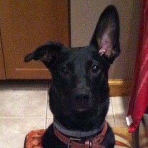 Meet your Posher, Lesa